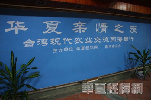 槐荫区人民政府办公室领导团队全新亮相，未来工作展望与战略规划