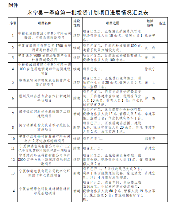 永宁县审计局发展规划，构建现代化审计体系，助力县域经济高质量发展