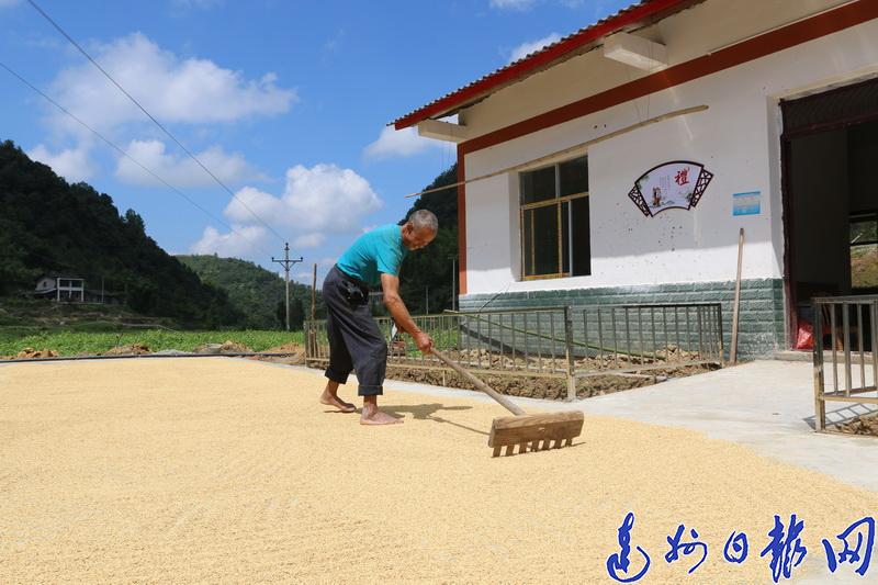 改则镇最新项目，地区发展强大引擎引领前行