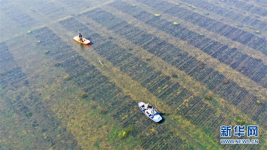 沱湖乡新项目启动，开启乡村发展新篇章