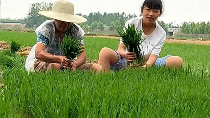 山西省太原市尖草坪区马头水乡最新项目，探索与发展展望