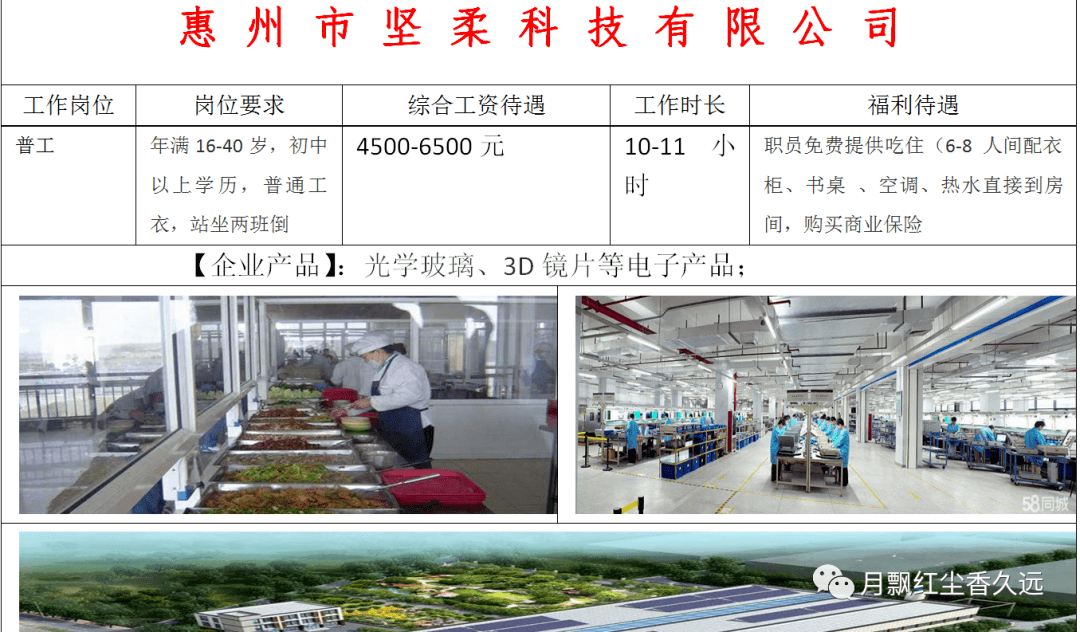 大关县体育馆招聘信息与职业机会深度探讨