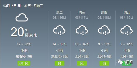 2025年1月12日 第4页