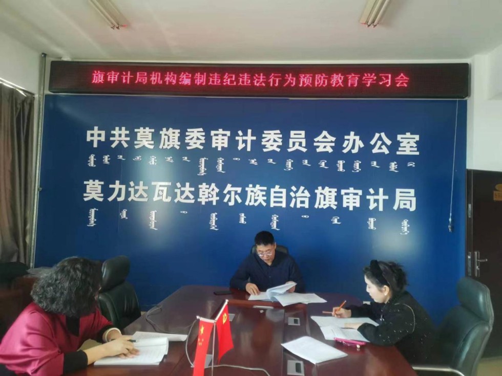 莫力达瓦达斡尔族自治旗统计局新项目助力地方经济高质量发展