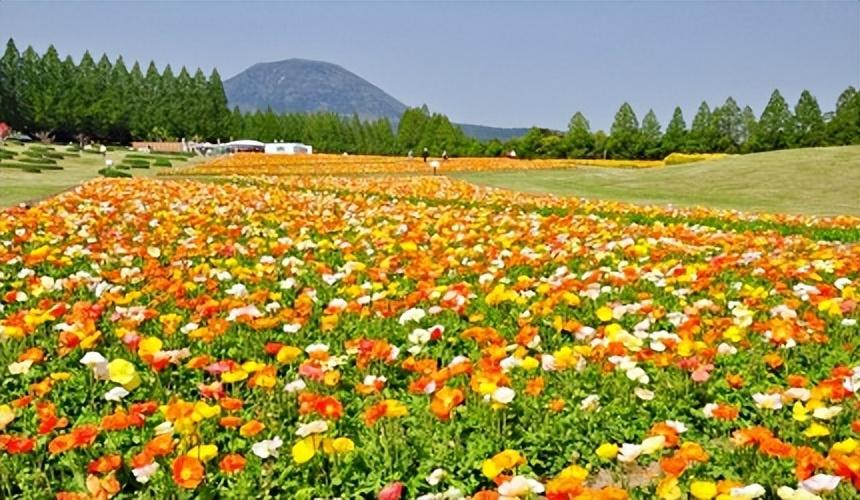 牛峡村民委员会发展规划概览