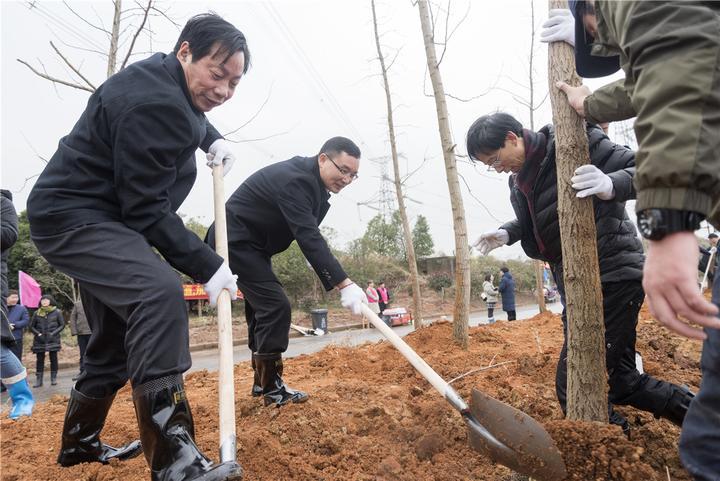 缸窑镇新领导团队引领未来，铸就辉煌成就