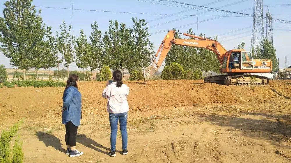 陈疃镇最新项目，地方发展的璀璨明珠启动在即